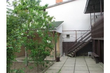 Ukrajina Privát Mukačevo, Eksterijer